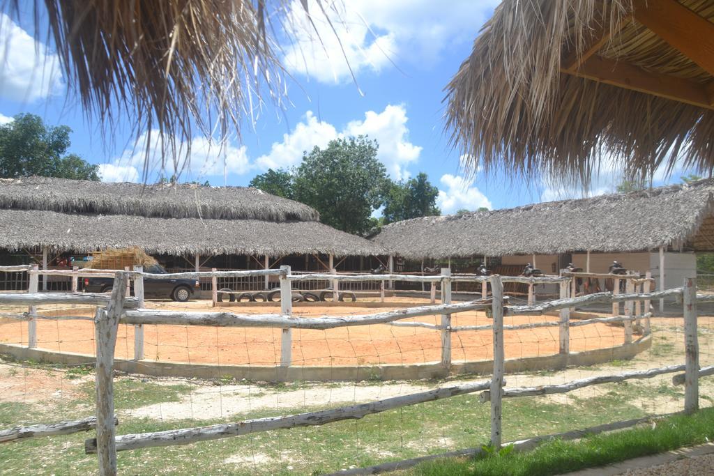 Green Village Bayahibe La Romana Buitenkant foto